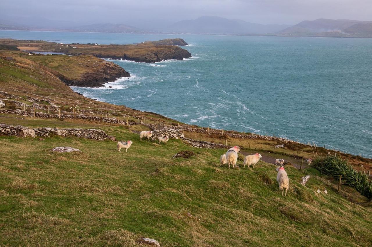 Skellig Port Accommodation - 1 Studio Bed Apartment Portmagee Esterno foto