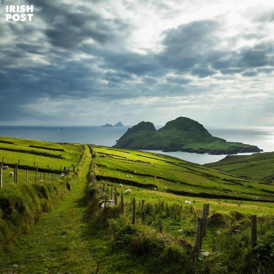 Skellig Port Accommodation - 1 Studio Bed Apartment Portmagee Esterno foto